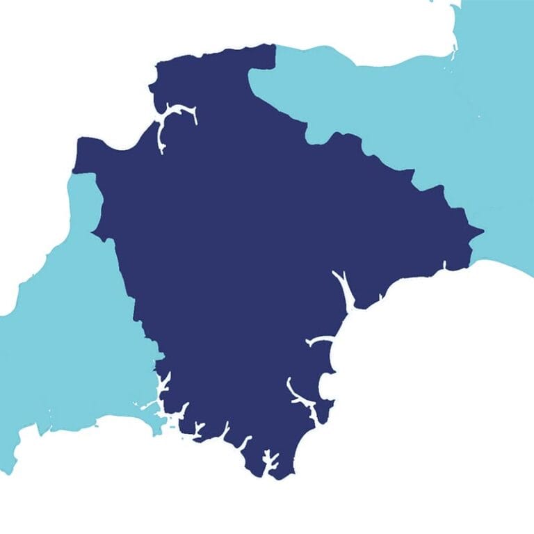 South Devon Property Surveyor